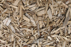 biomass boilers Laithes